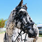Wanderlust Bitless Bridle