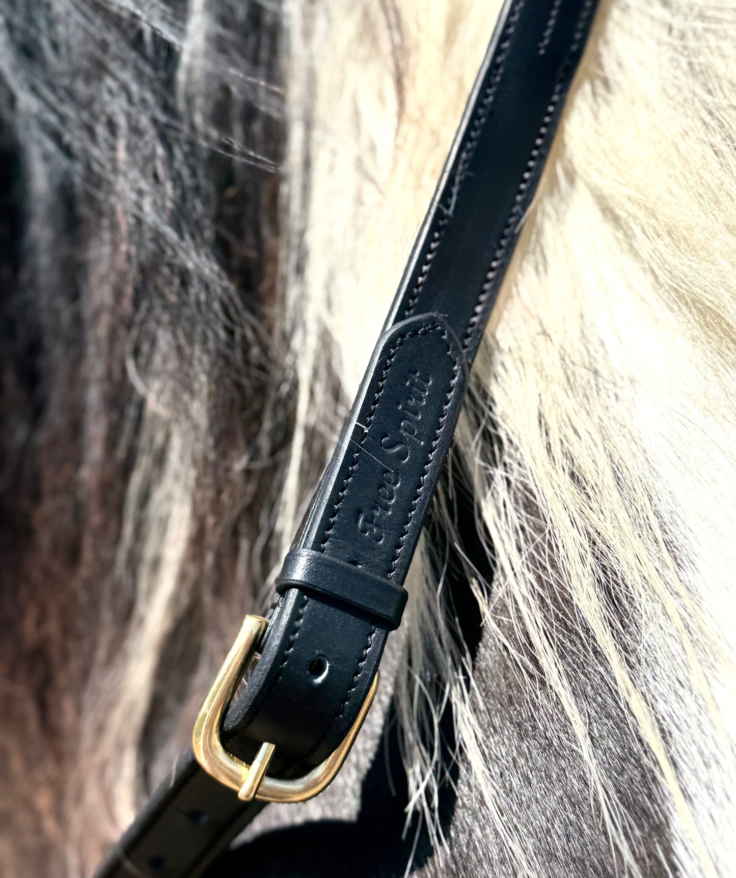 Bridleless Neck Rope