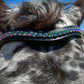 Carnival Snap-Out Browband