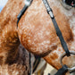 FS Schooler Bridle