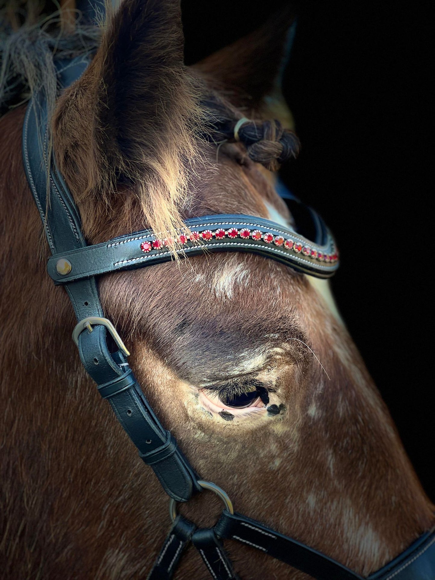 Red Ruby Snap-Out Browband
