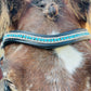 Blue Belle Snap-Out Browband
