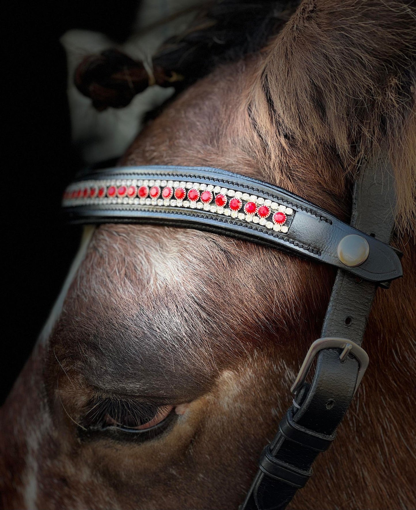 Ruby Deluxe Snap-Out Browband