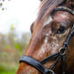 Silver Deluxe Bitless Bridle