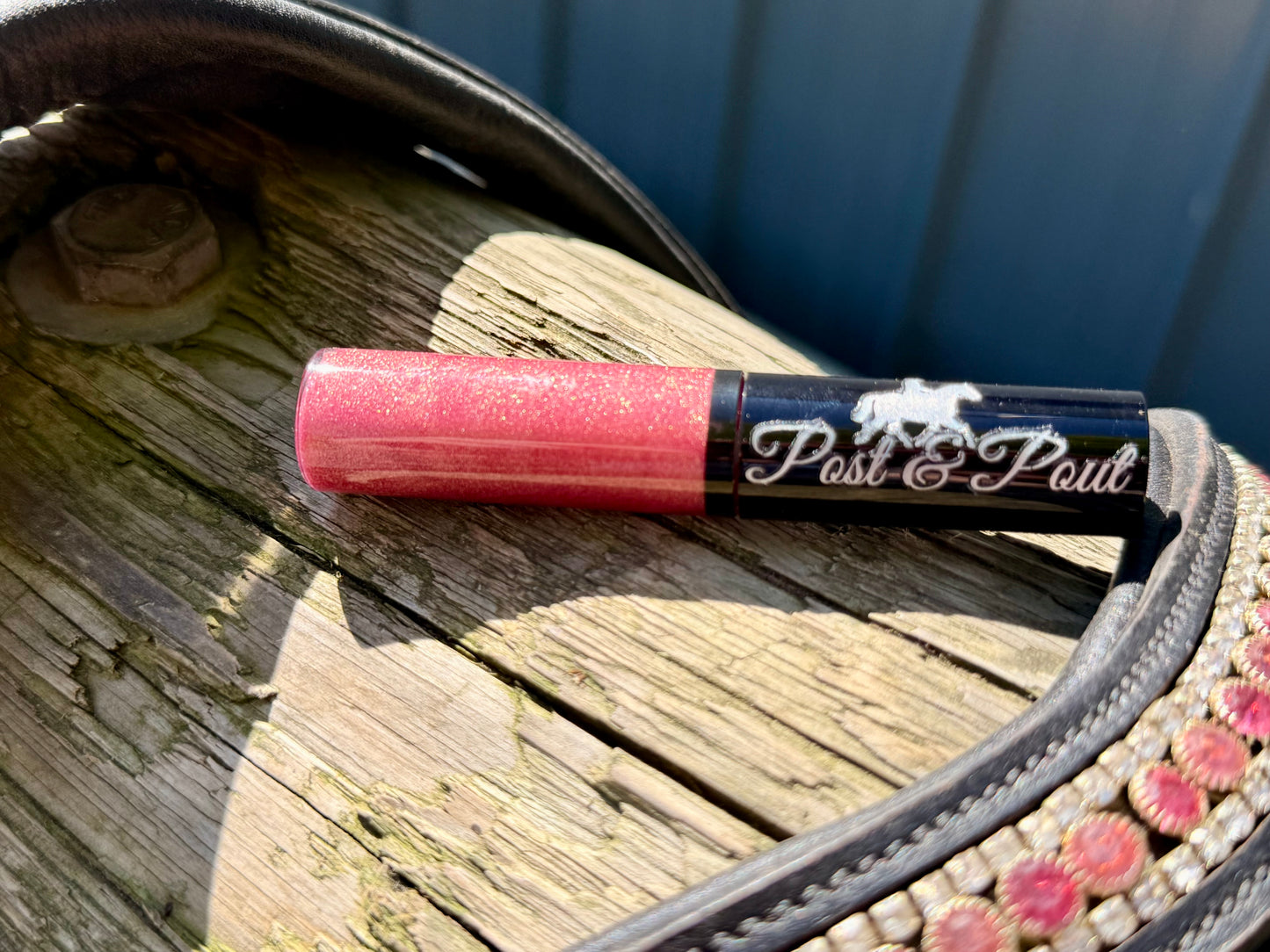 Post & Pout Lip Gloss