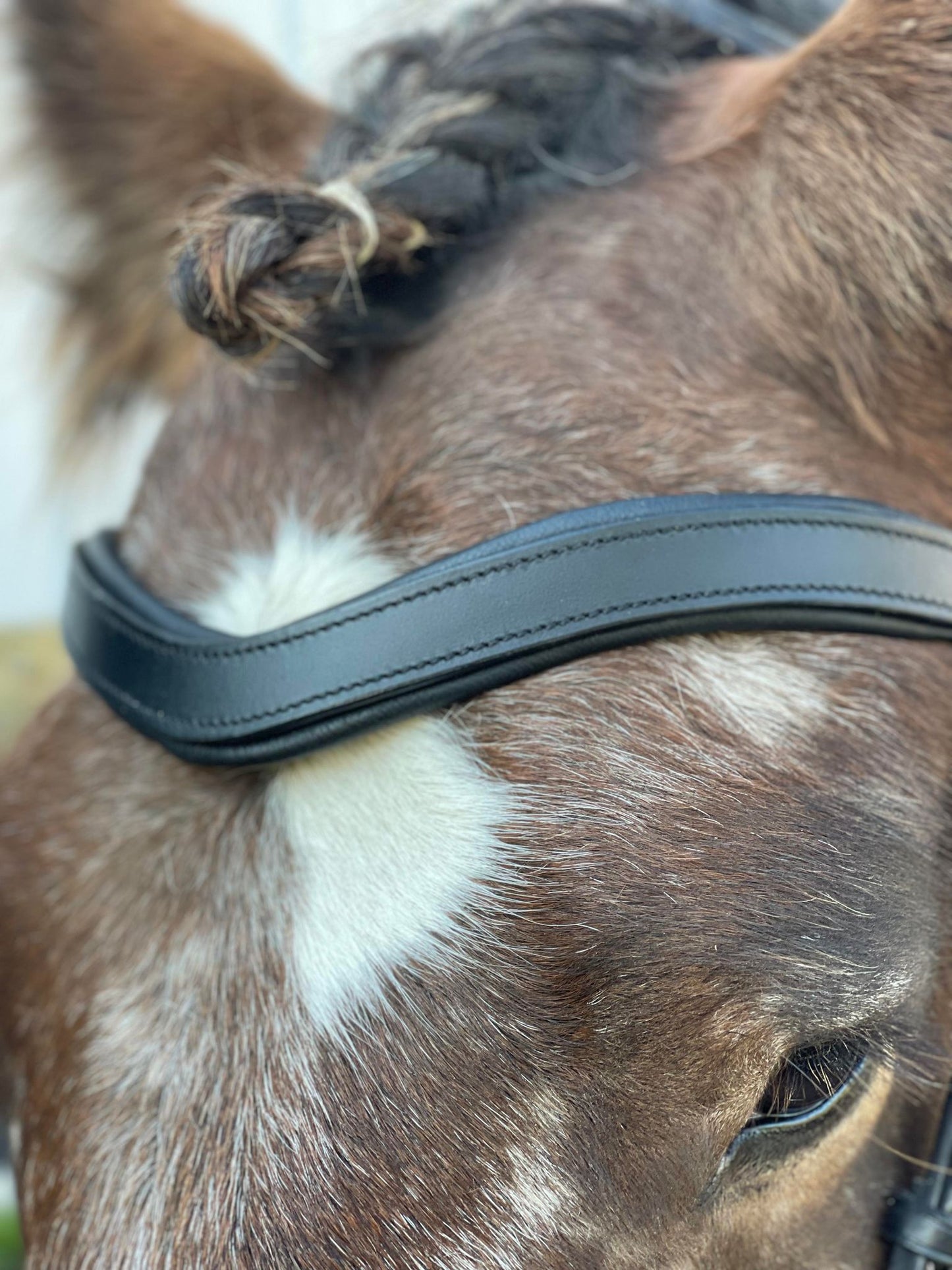 Classic Leather Snap-Out Browband