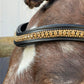 Bold in Gold Snap-Out Browband