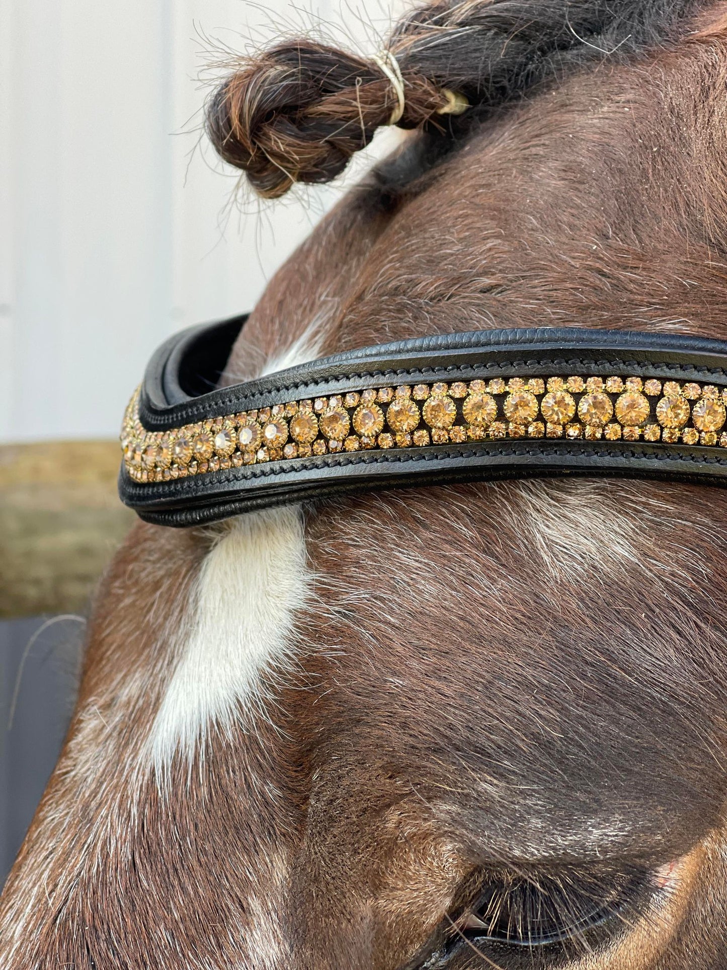 Bold in Gold Snap-Out Browband