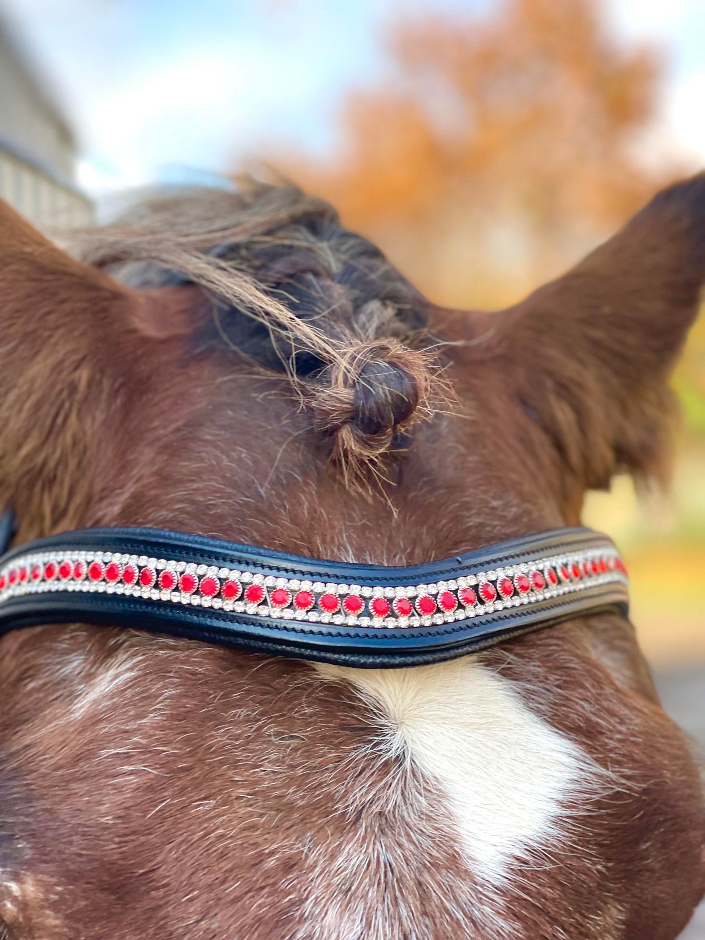 Ruby Deluxe Snap-Out Browband