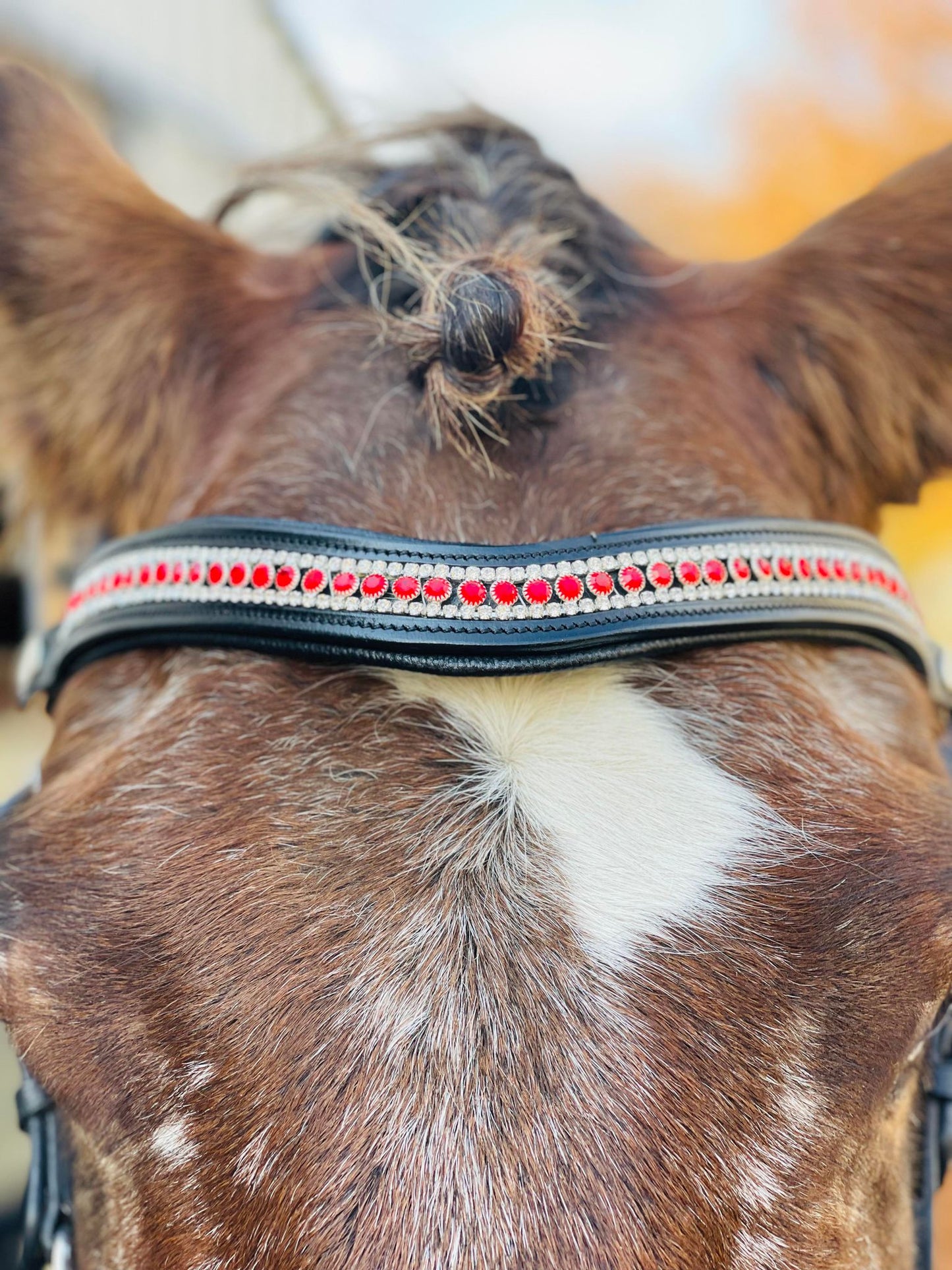 Ruby Deluxe Snap-Out Browband