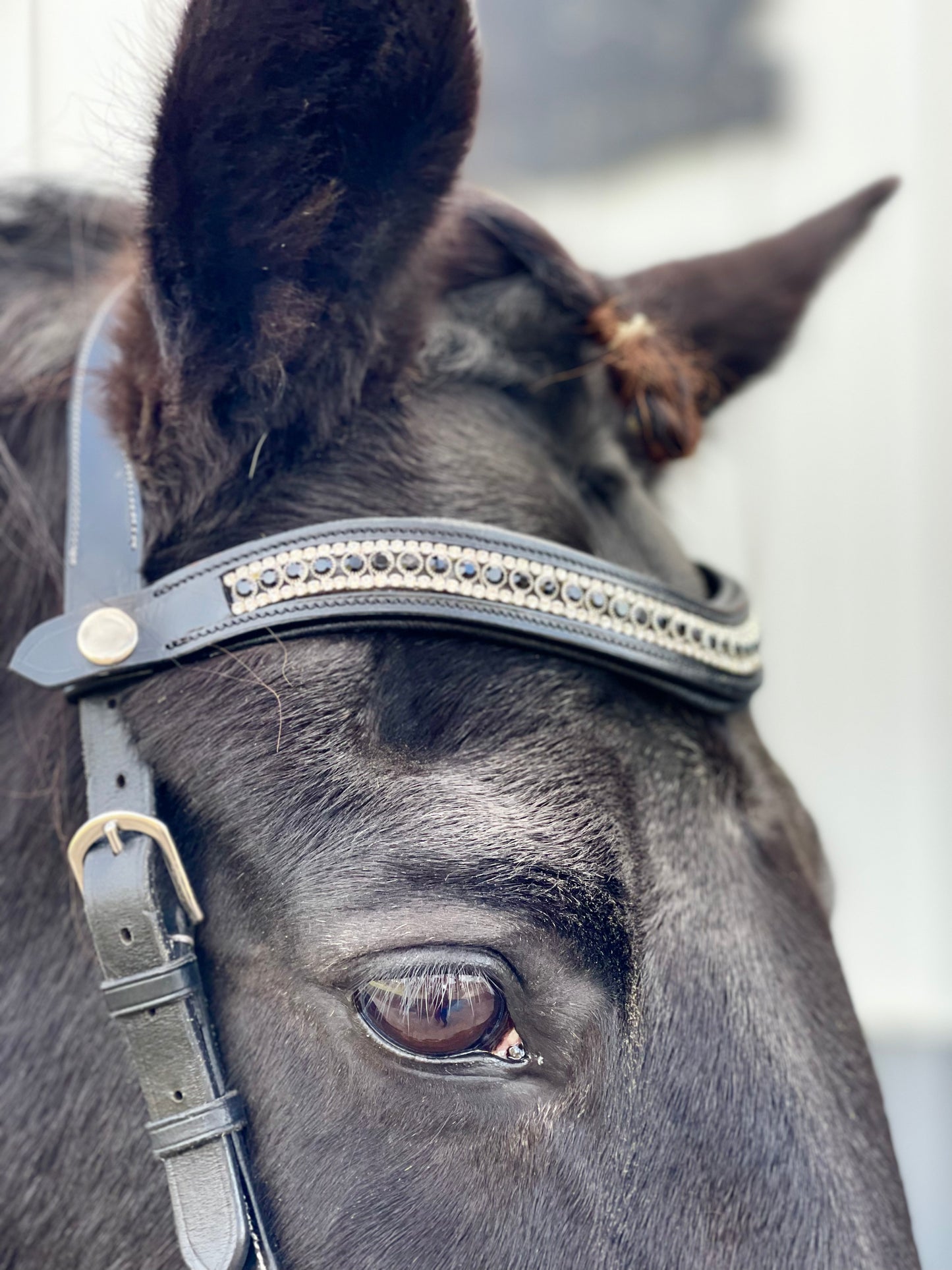 Black Diamond Snap-Out Browband
