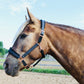Fantasia's Sparkle-Hybrid Halter