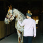 Fillies Flyin’ Pink Sweatshirt