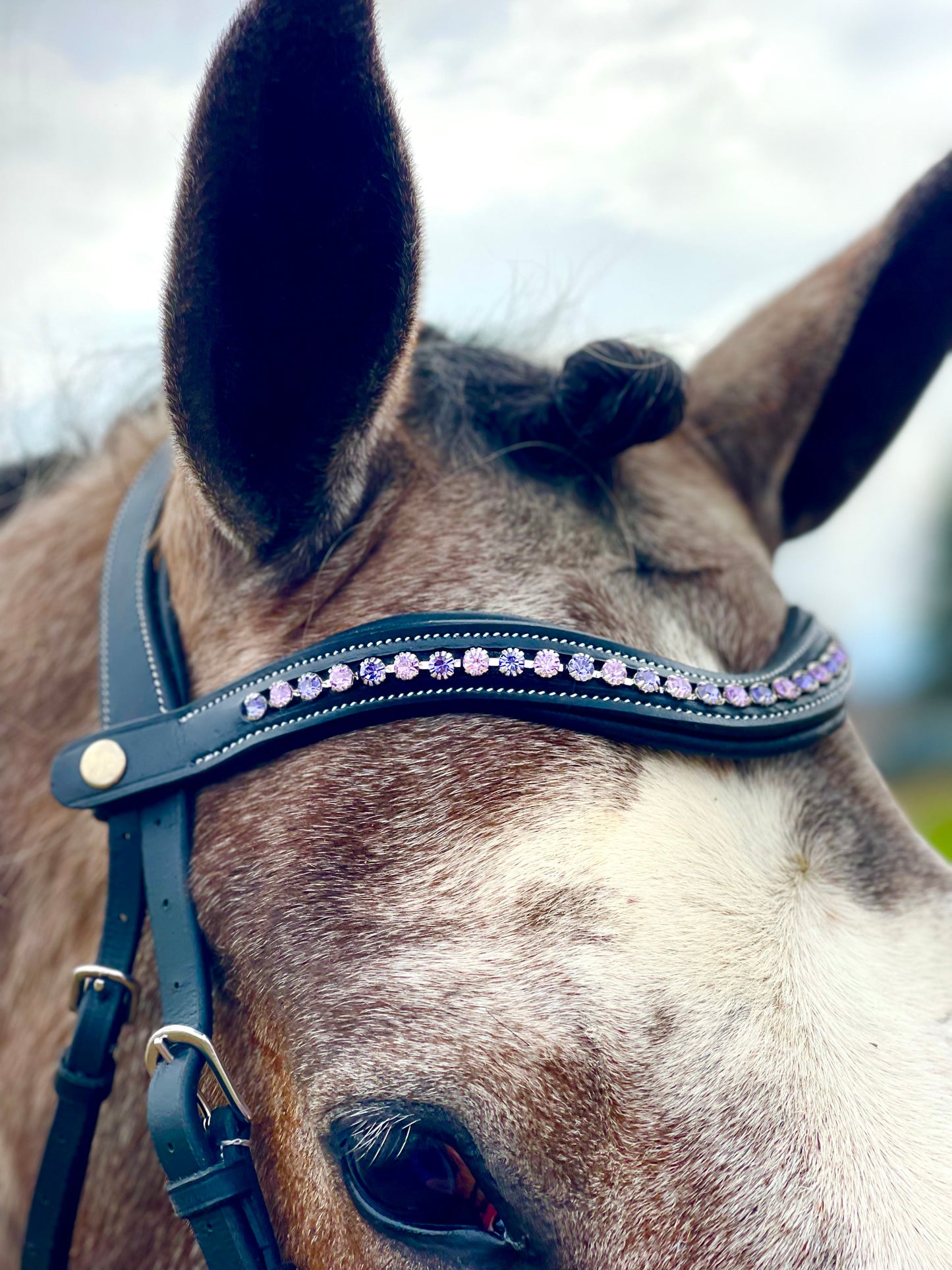 Amethyst Snap-Out Browband
