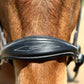 Hunter Classic Bitless Bridle