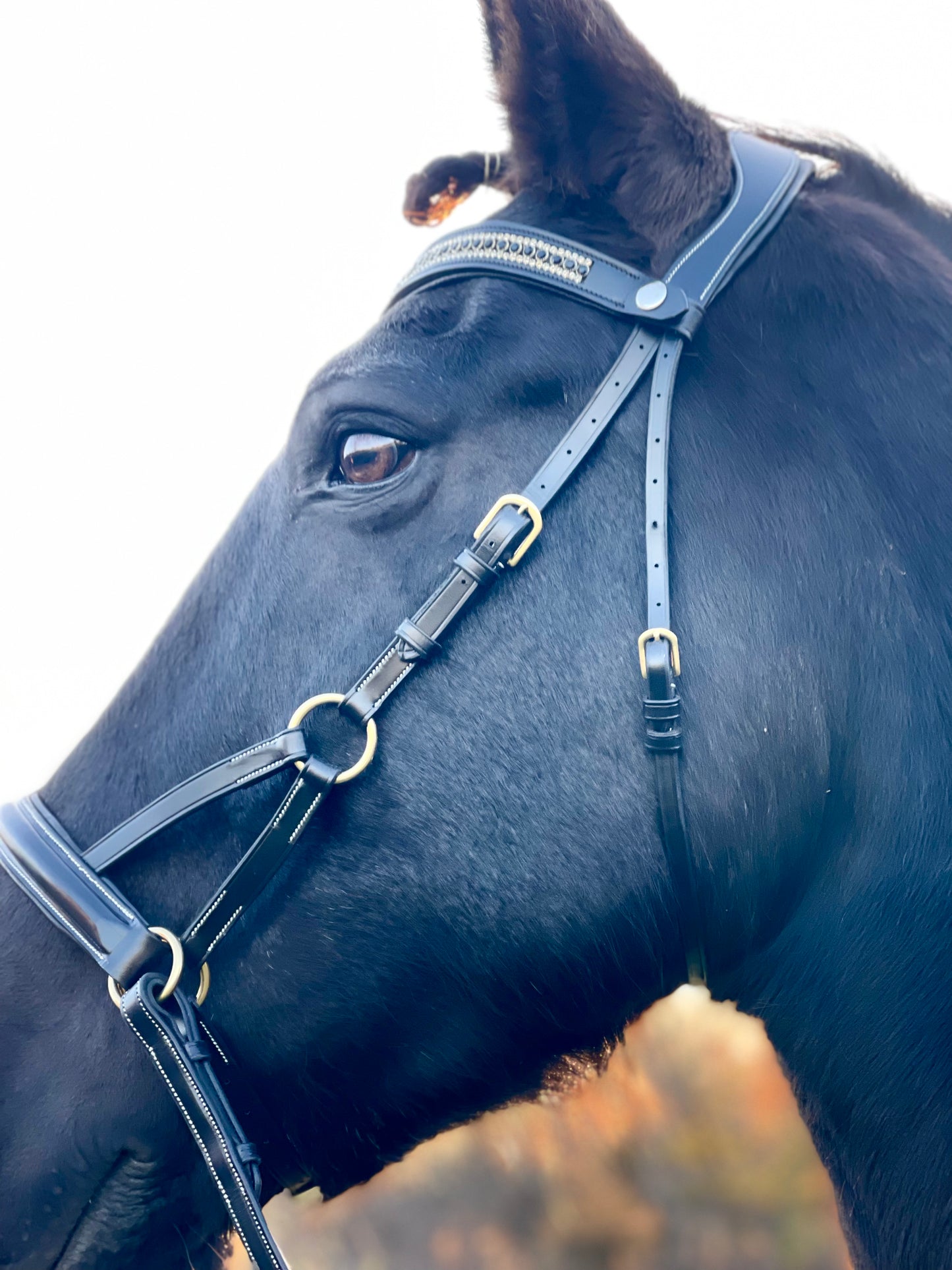 Golden Luxe Bitless Bridle