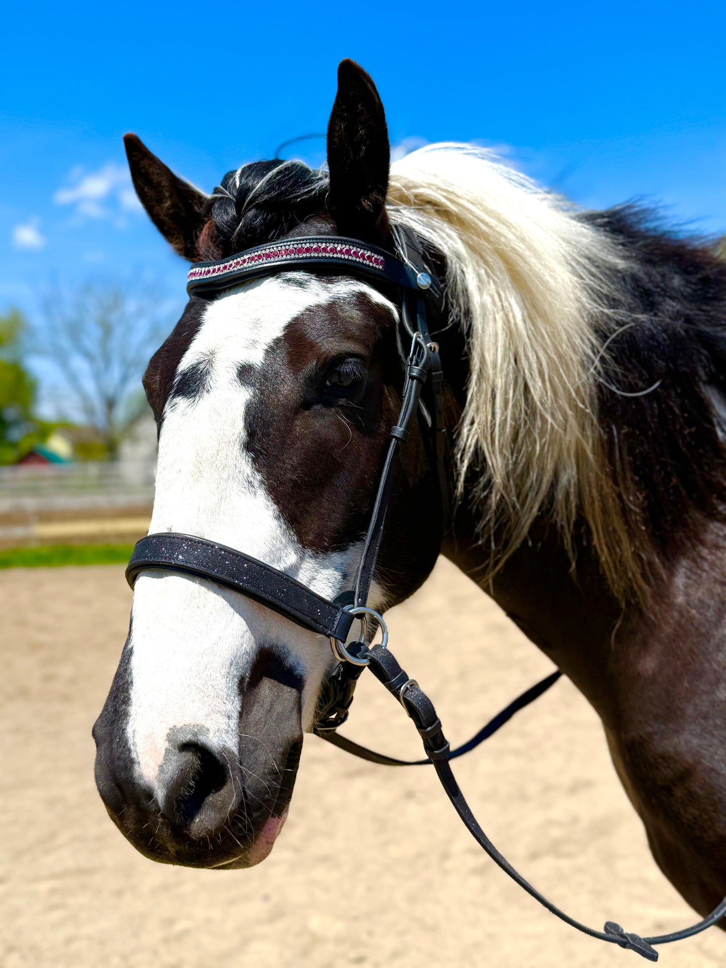 Magic Magenta Snap-Out Browband