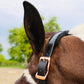Fantasia's Sparkle-Hybrid Halter