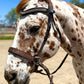 Wanderlust Bitless Bridle