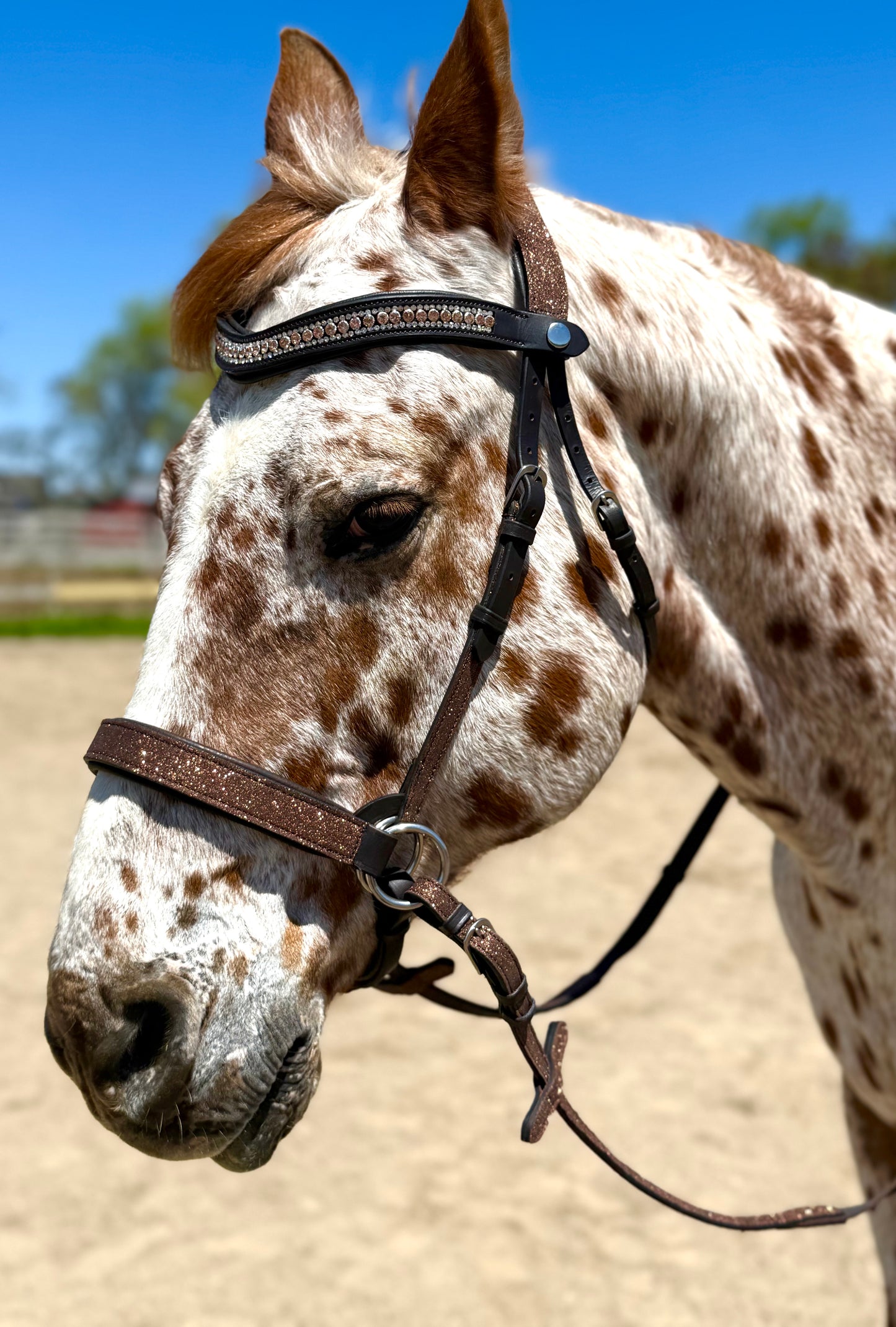 Wanderlust Bitless Bridle