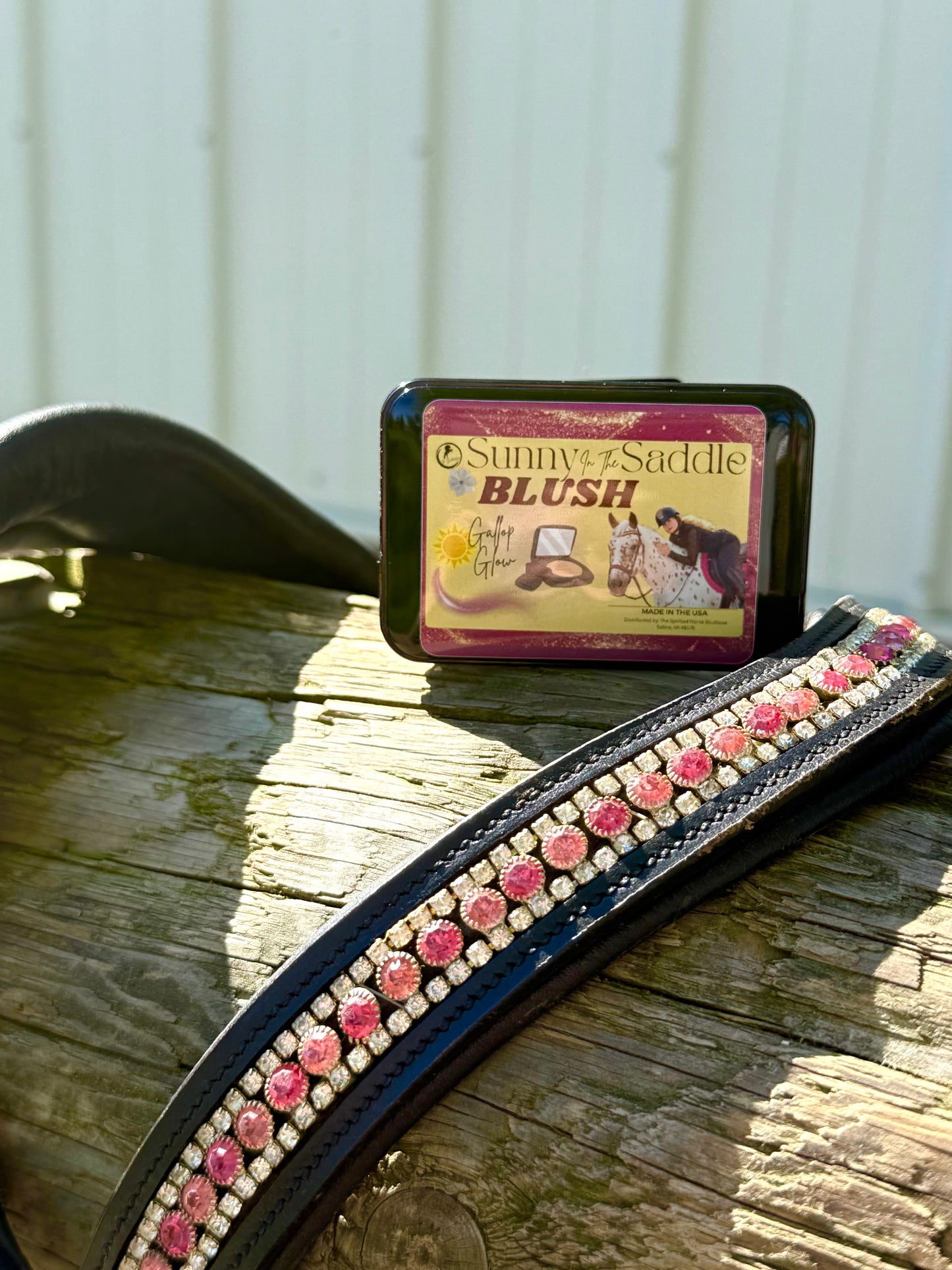 Sunny in the Saddle-Blush