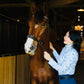 Cranberry Canter-Lip Gloss