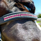 Magic Magenta Snap-Out Browband