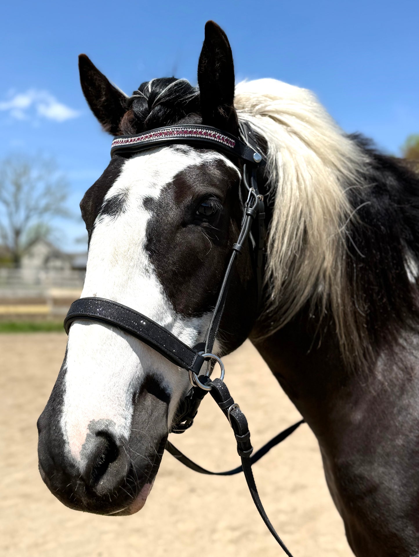 Wanderlust Bitless Bridle