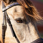 Hunter Classic Bitless Bridle