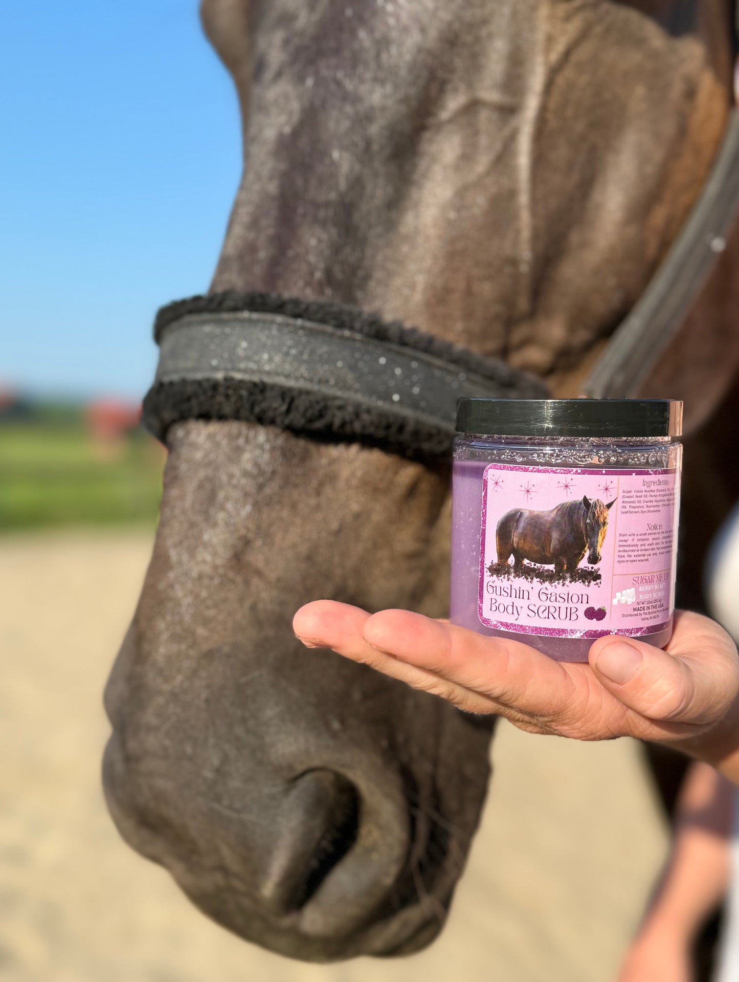 Gushin' Gaston-Sugar Scrub