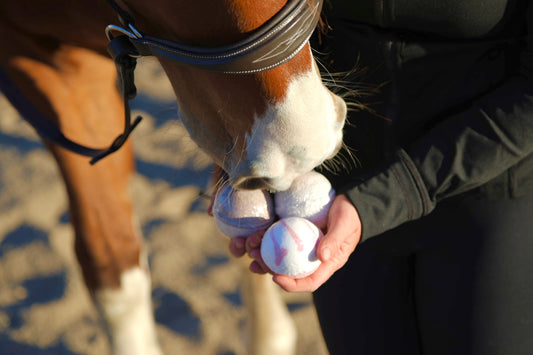 Horse Themed Bath Bombs