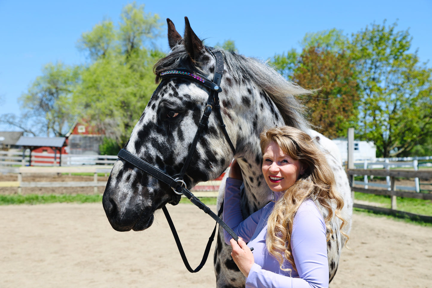 Carnival Snap-Out Browband
