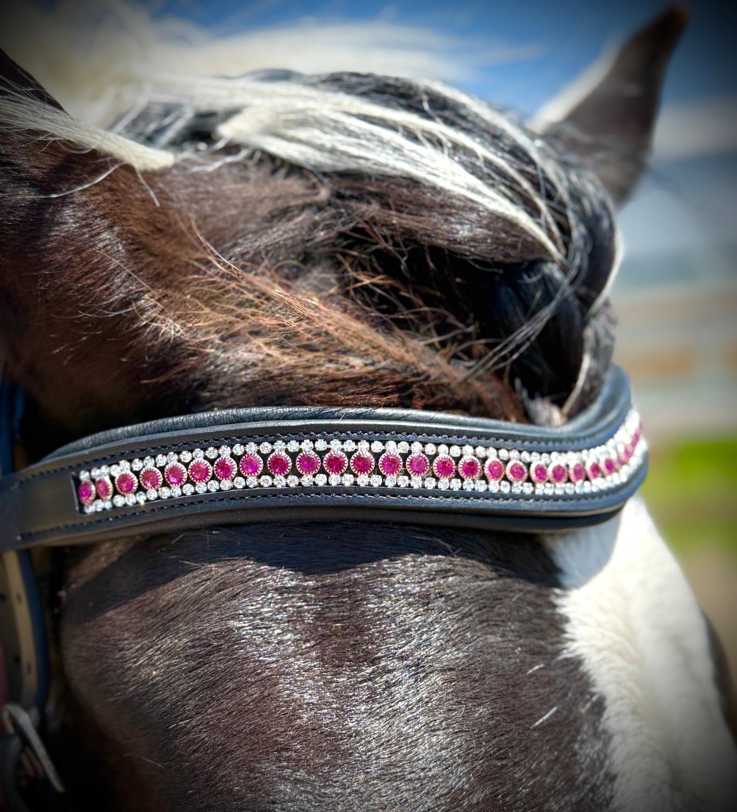 Magic Magenta Snap-Out Browband