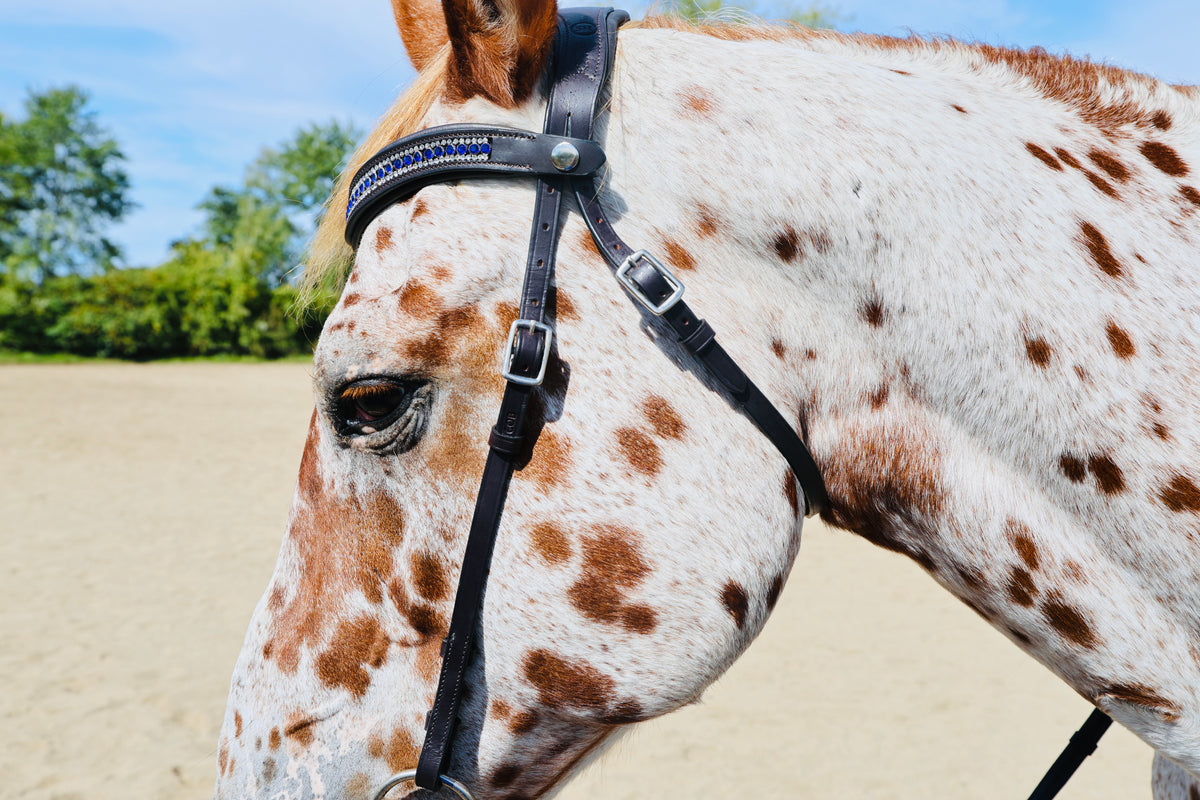 FS Schooler Bridle