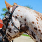 Wanderlust Bitless Bridle