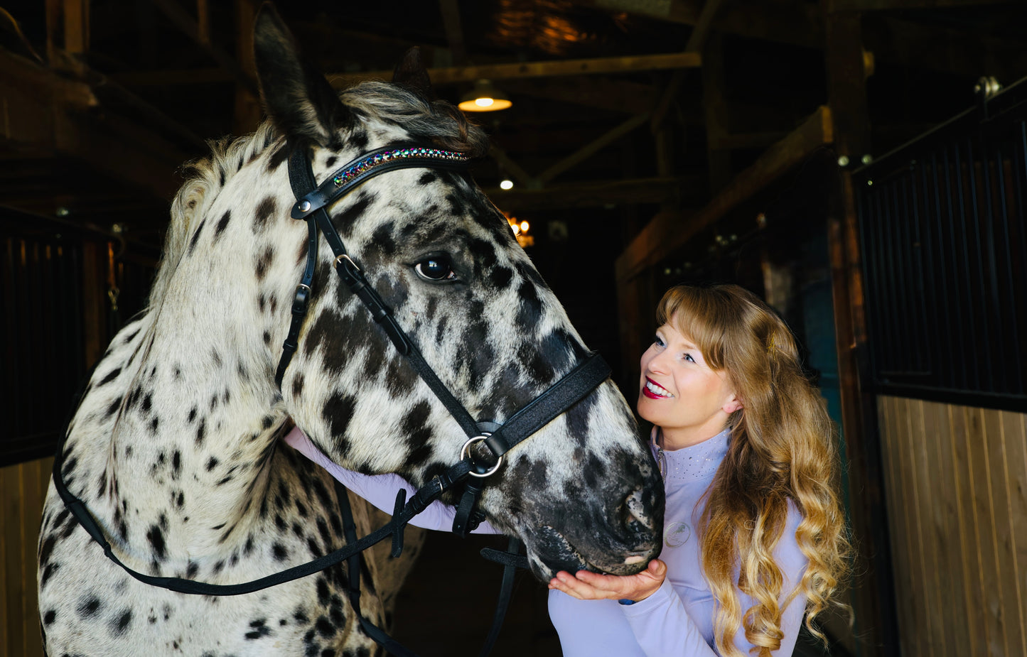 Wanderlust Bitless Bridle