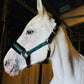 NEW Holiday Colors! Fantasia's Sparkle Halter