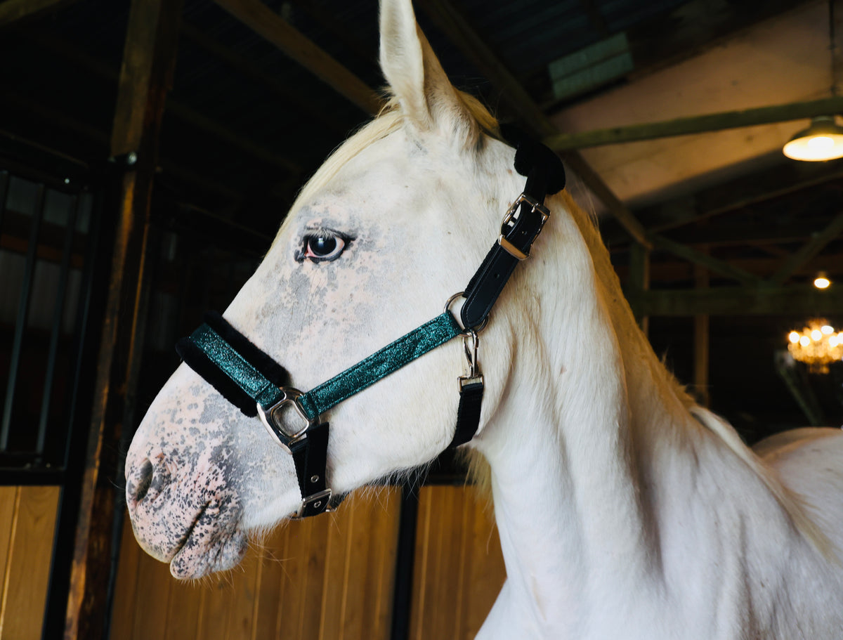 NEW Holiday Colors! Fantasia's Sparkle Halter