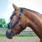 Fantasia's Sparkle-Hybrid Halter