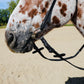 FS Schooler Bridle