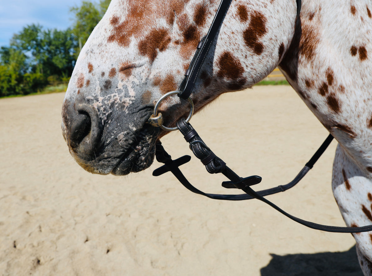 FS Schooler Bridle