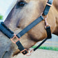 Fantasia's Sparkle-Hybrid Halter