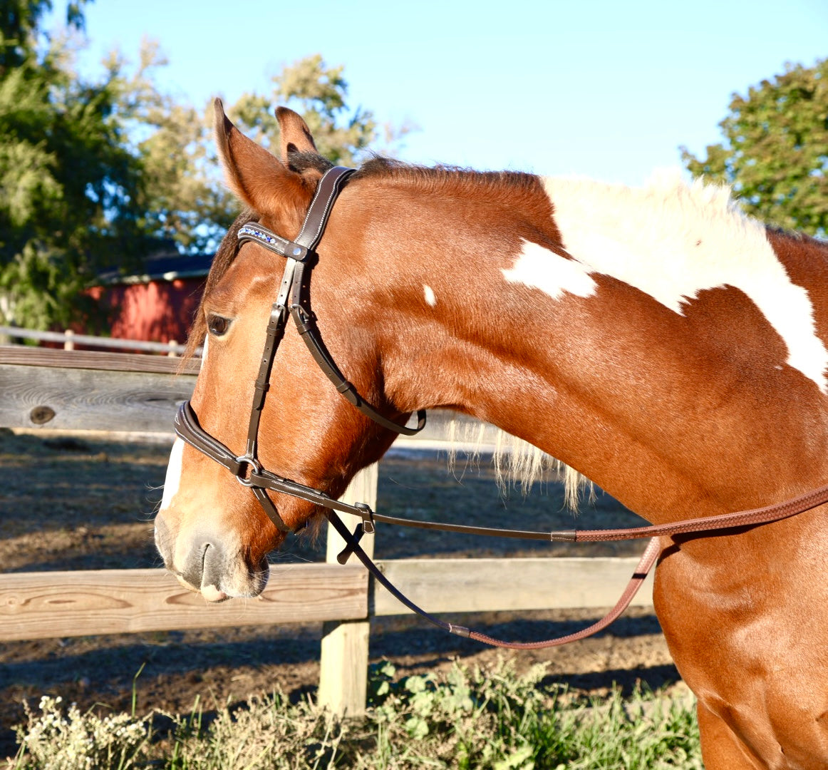 Hunter Classic Bitless Bridle