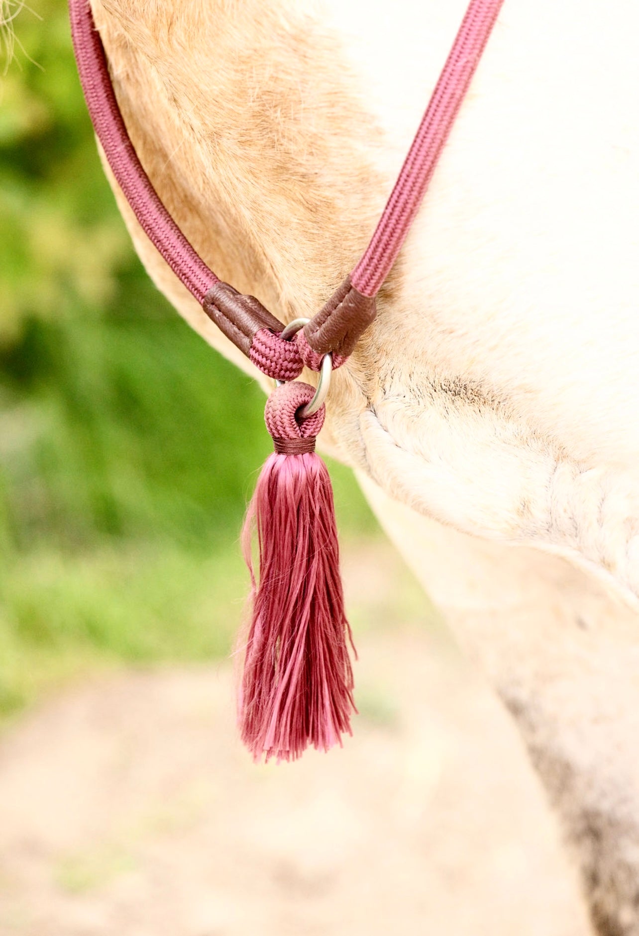 Bridleless Neck Rope