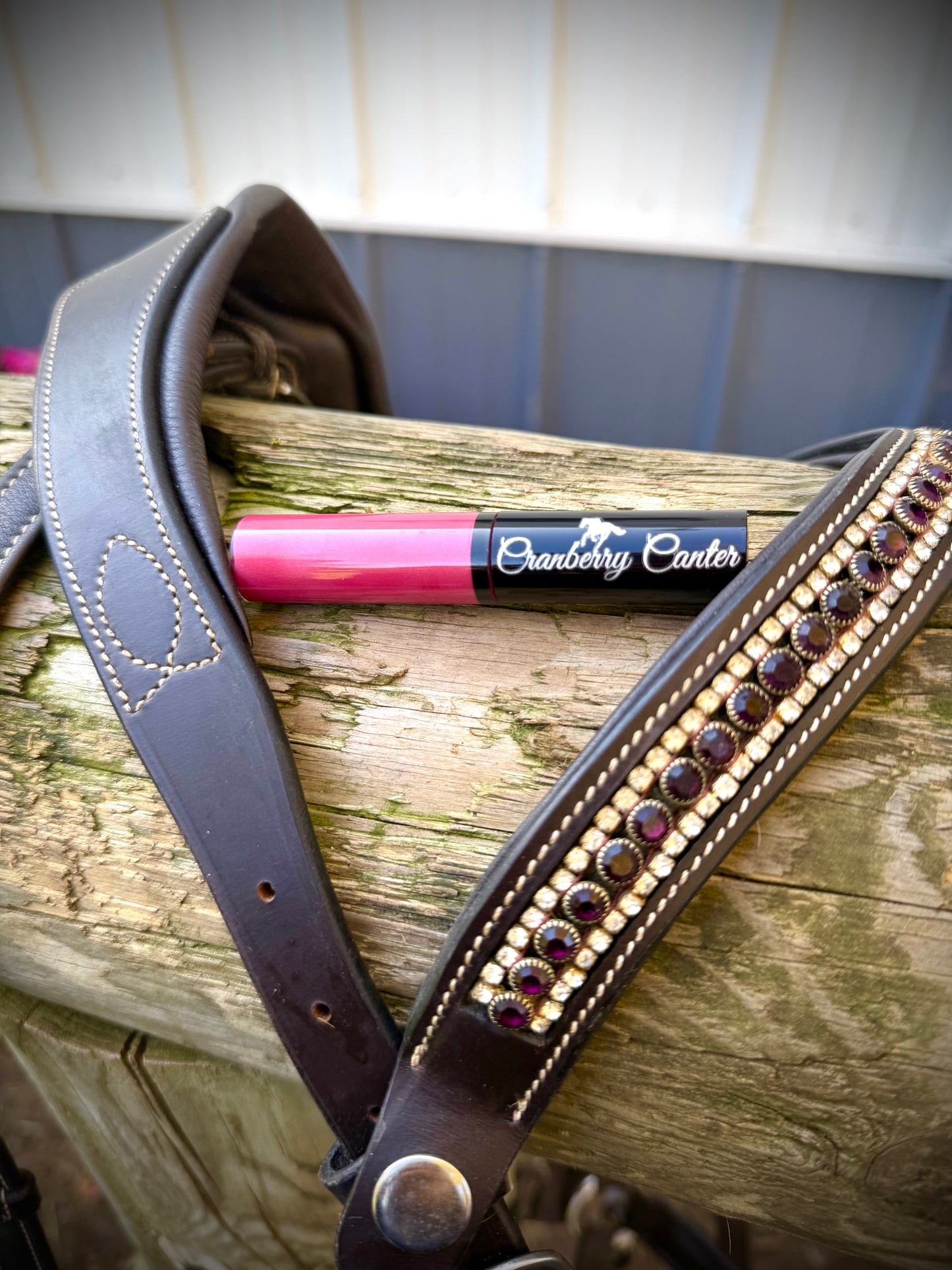 Cranberry Canter-Lip Gloss