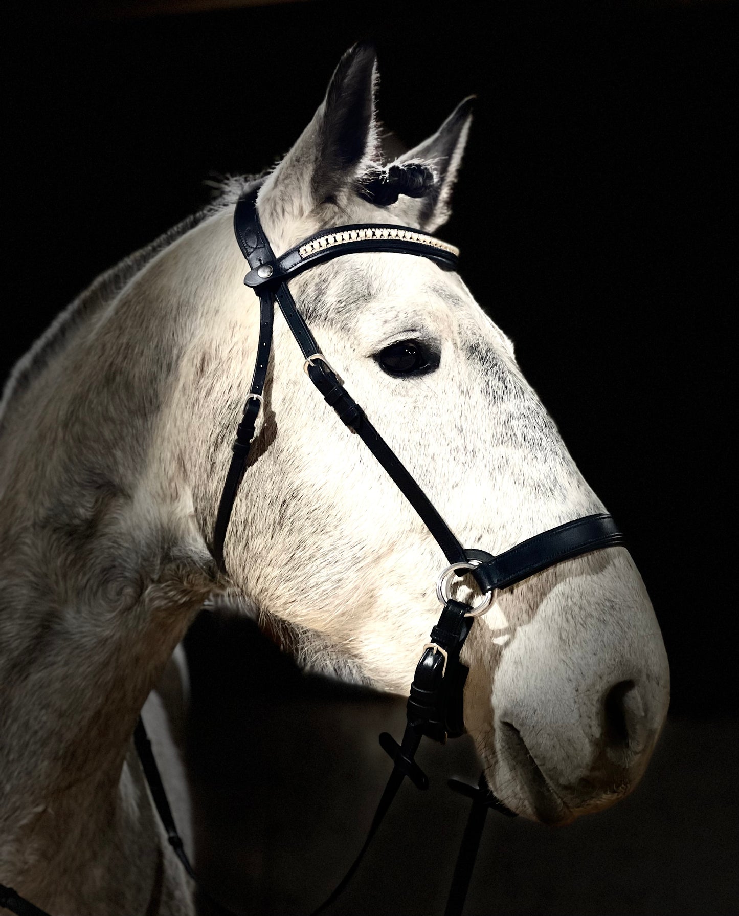 Pretty in Pearl Snap-Out Browband