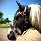 Fantasia's Sparkle-Hybrid Halter