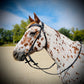 FS Schooler Bridle