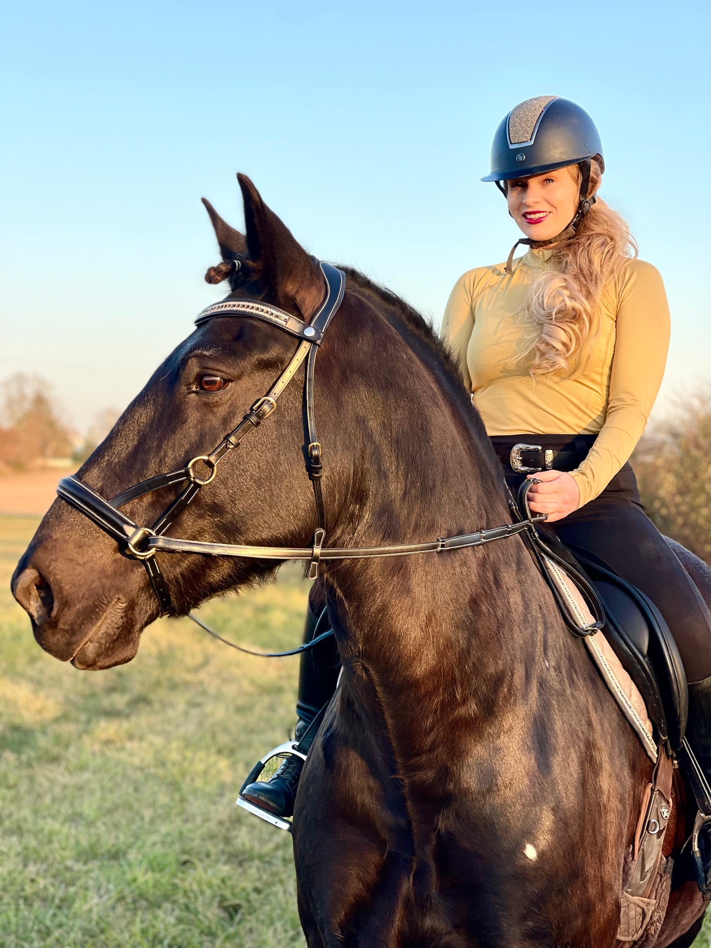 Golden Luxe Bitless Bridle