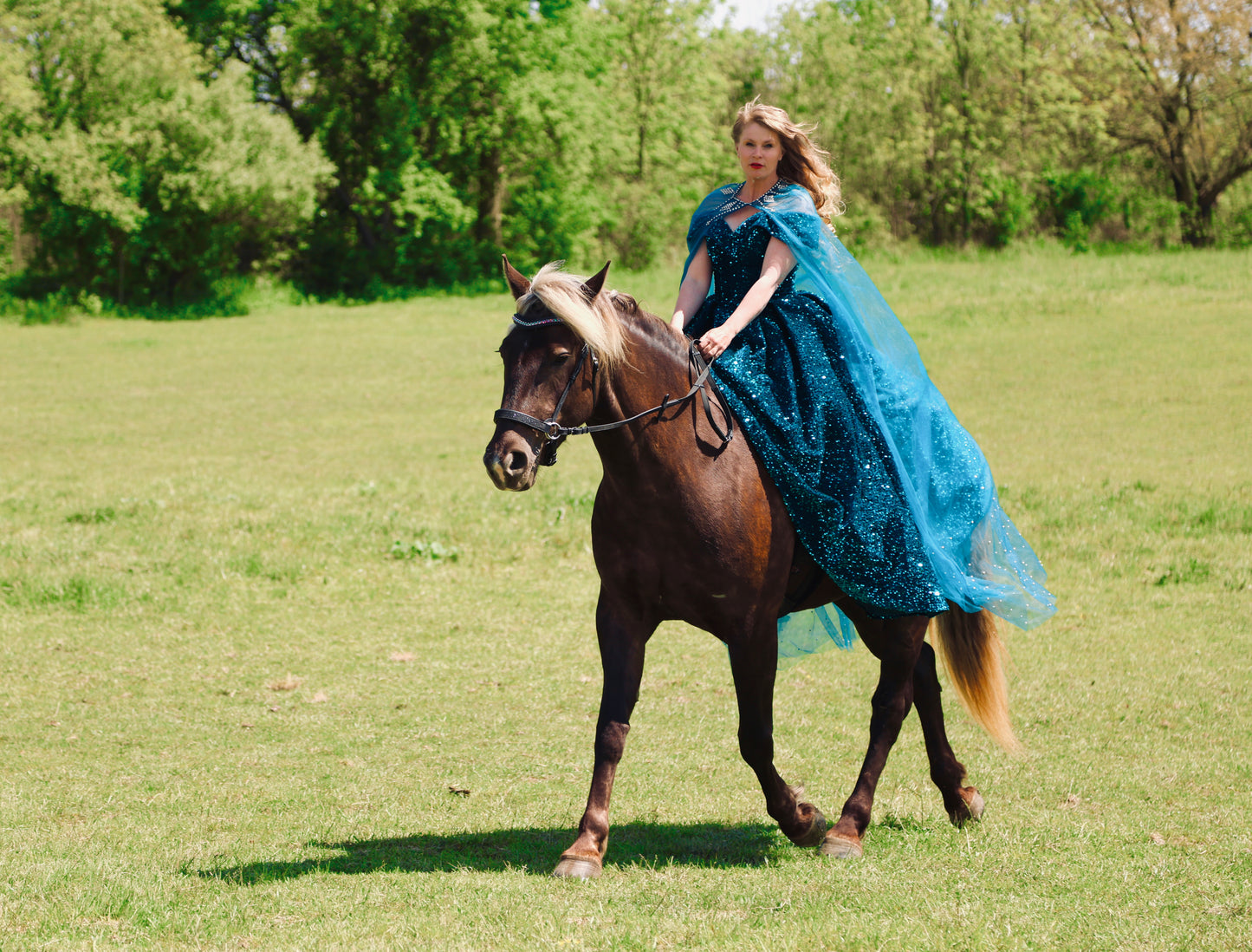 Wanderlust Bitless Bridle